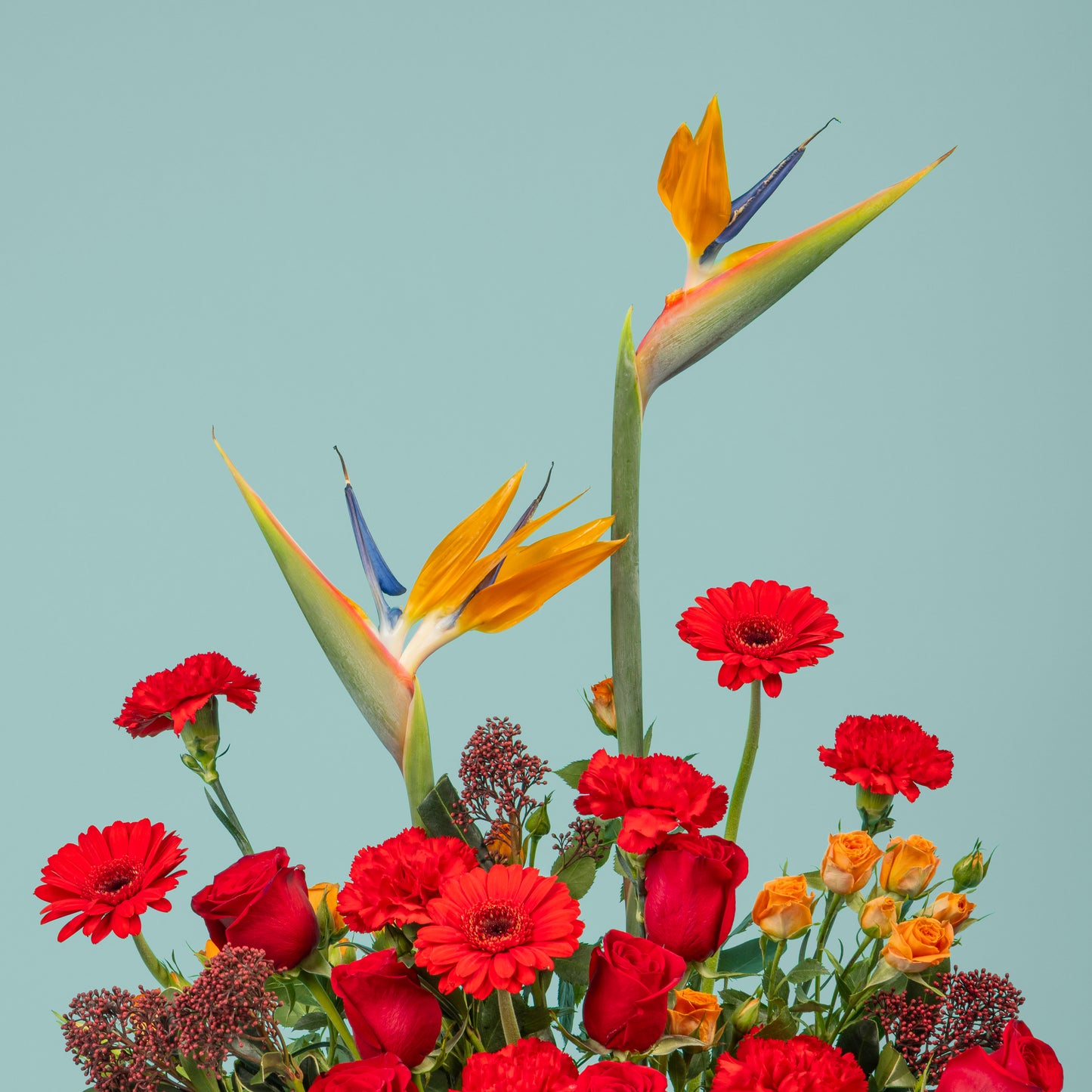 Flame of Love