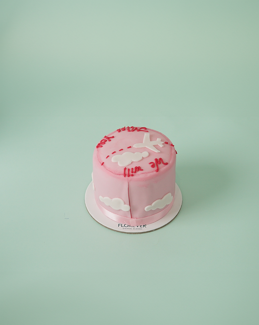 Frosted Dreams Cake