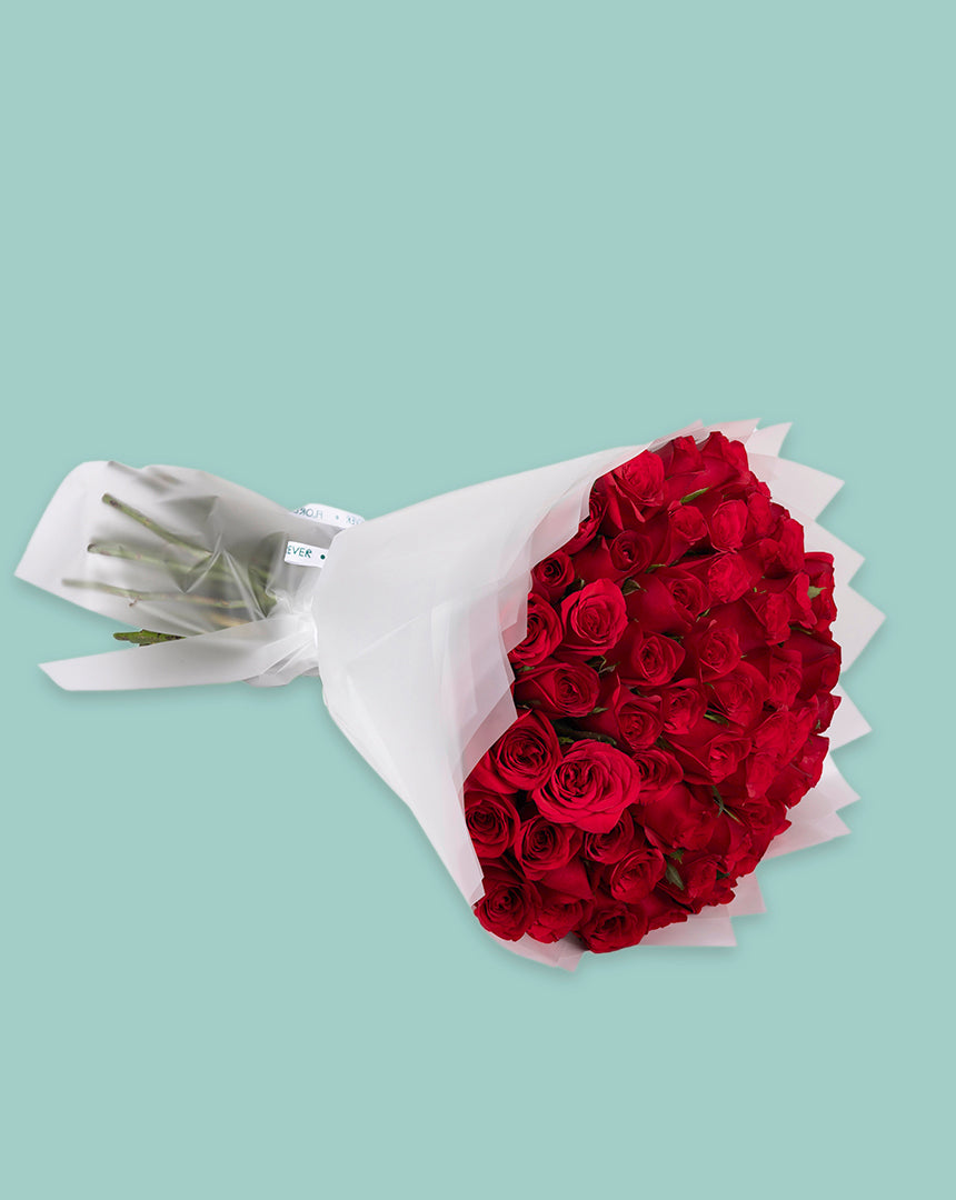 Large Red Rose