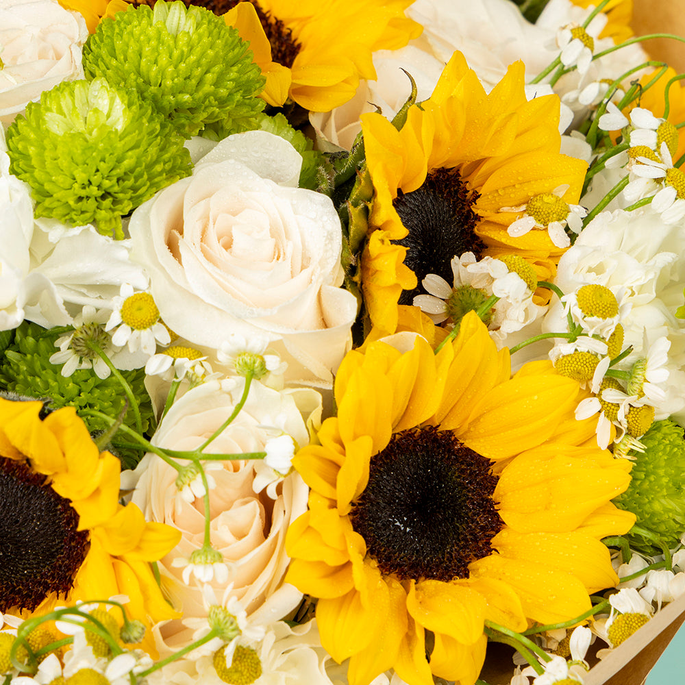 Sunflower Blushes