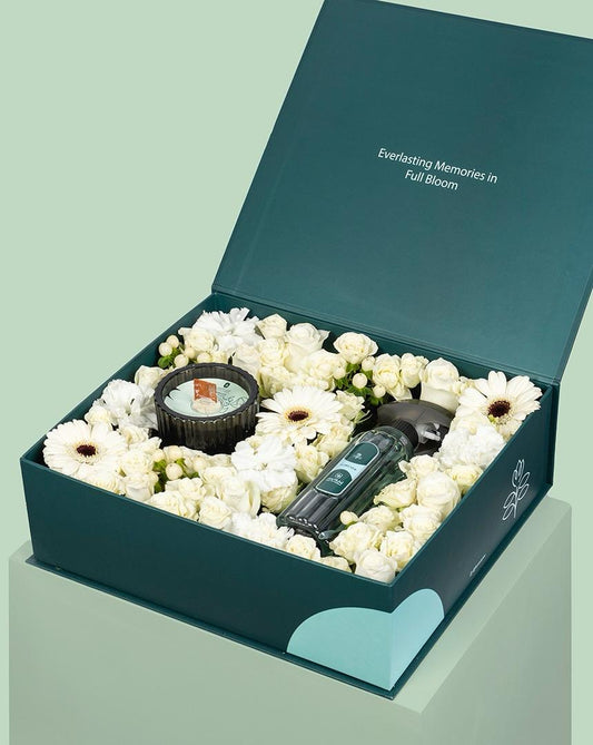 Ivory Glow Box
