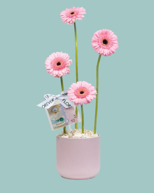 Petal Blessing