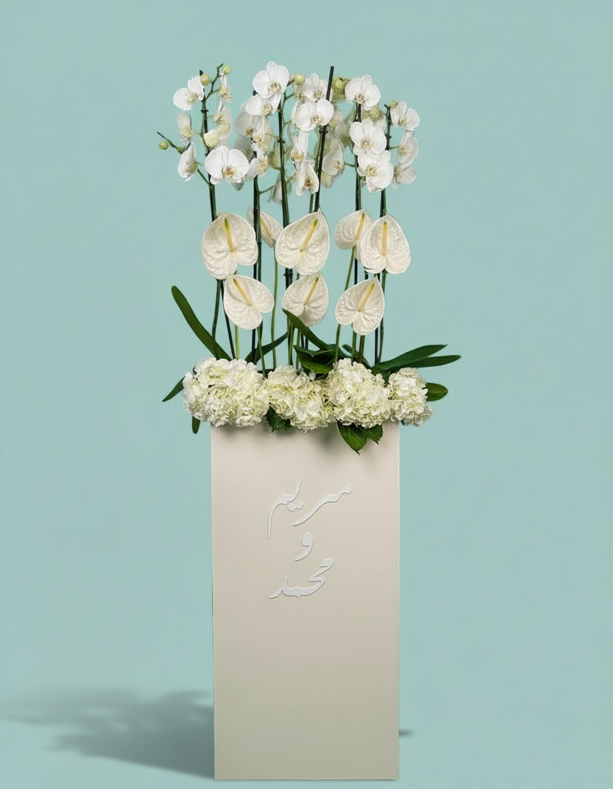 Orchid Luxe Edition