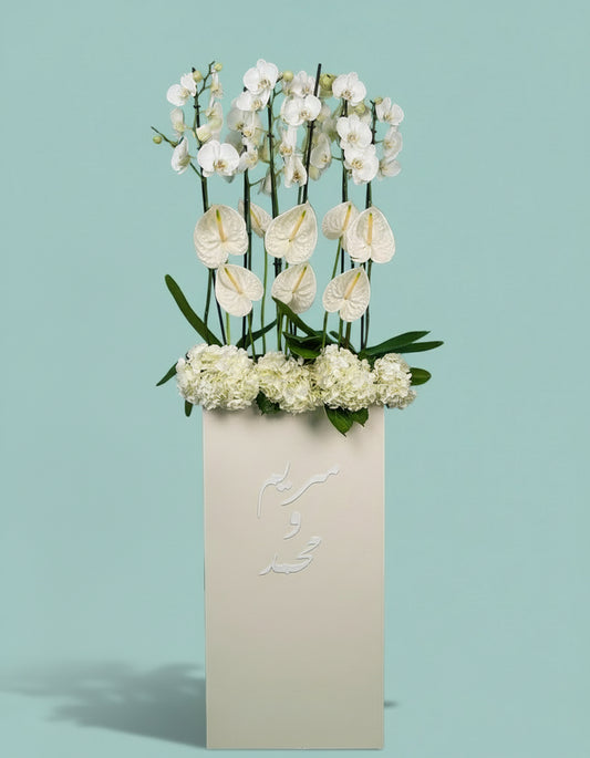 Orchid Luxe Edition