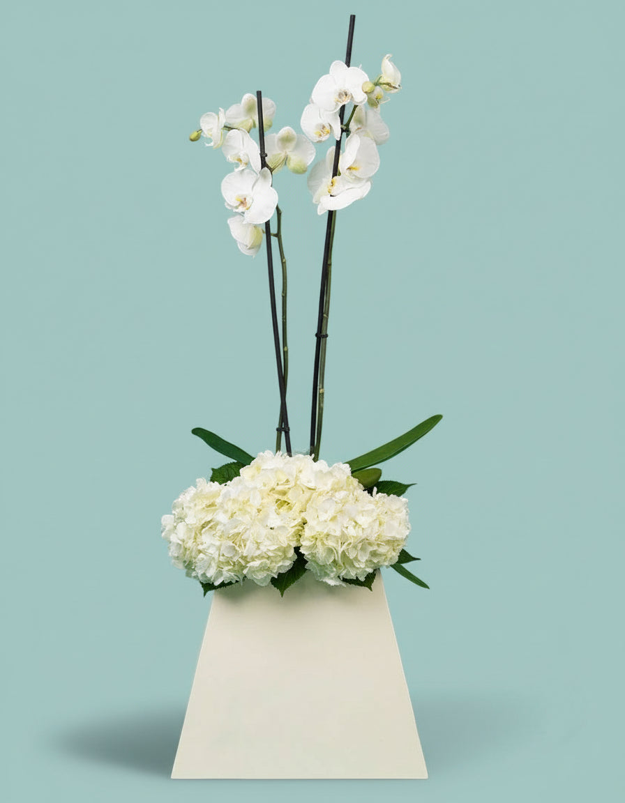 Orchid Pyramid